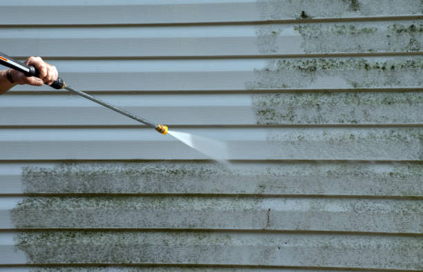 Best Gutter Cleaning  in Greensburg, LA